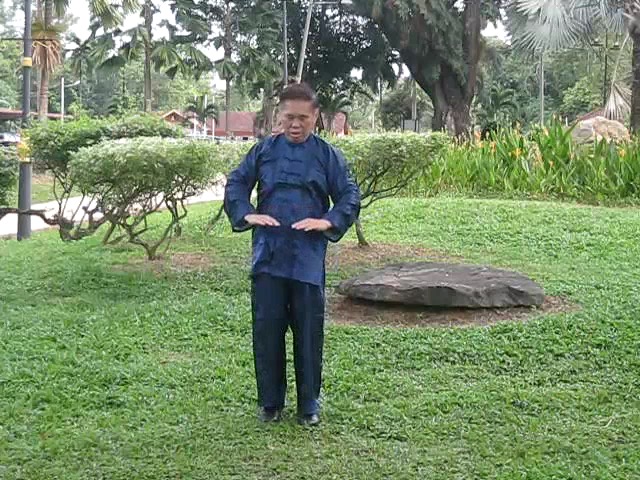 Wu Yu Xiang Style Taijiquan